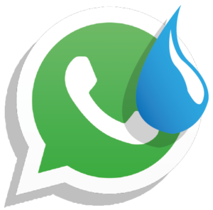 Logo Whatsapp SMAPAU